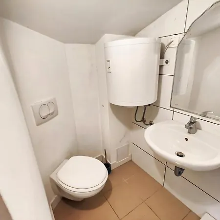 Cozy Renovated New Ljubljana