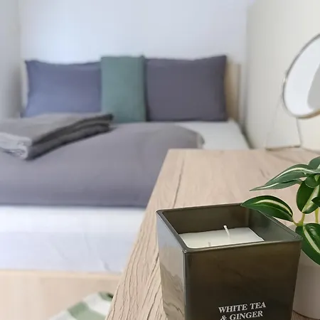 Cozy Renovated New Appartement *