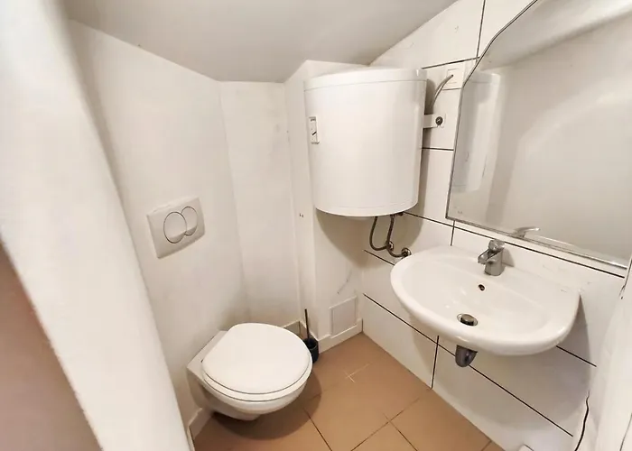 Cozy Renovated New Ljubljana