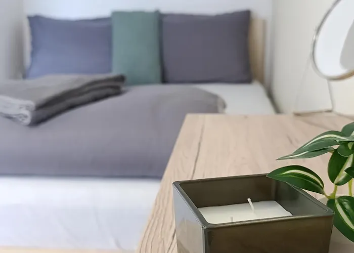 Cozy Renovated New Appartement *